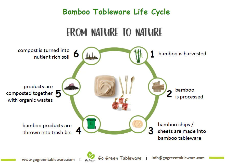 Bamboo Life Cycle