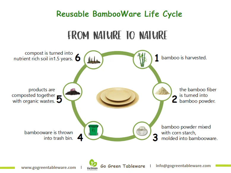 Bambooware Life Cycle