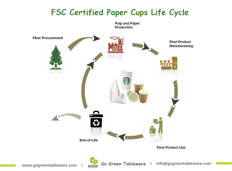 Paper Cups Life Cycle