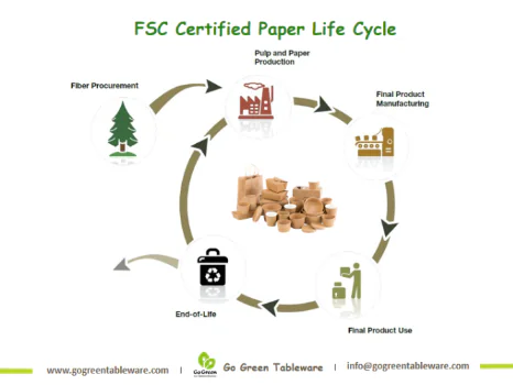 Paper Straws Life Cycle