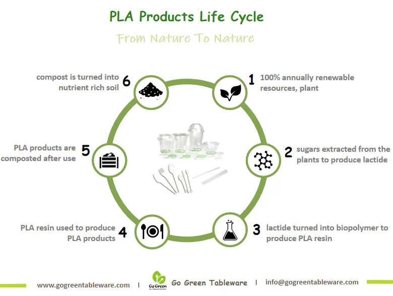 Pla Clear Cold Cups Life Cycle Life Cycle