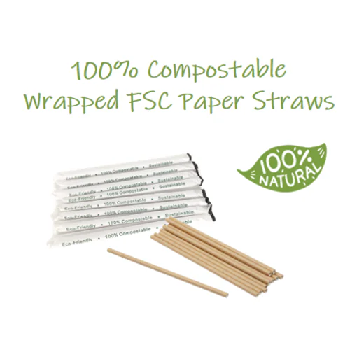 Paper Straws 6