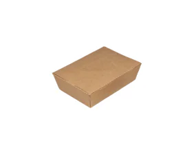 Kraft Paper Salad Boxes 1611200