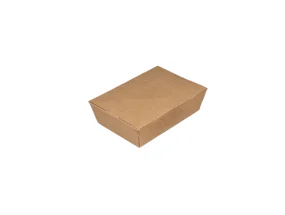 Kraft Paper Salad Boxes 161450