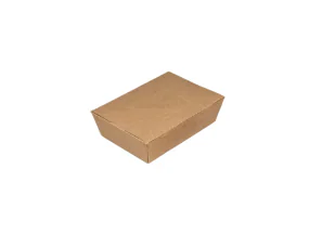 Kraft Paper Salad Boxes 161680