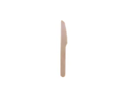 55 Disposable Wooden Cutlery Compostable Wk55